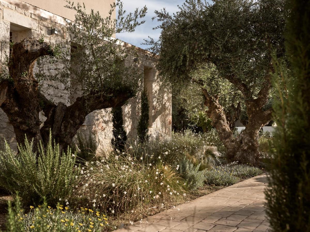Cielo - An Authentic Mediterranean Living